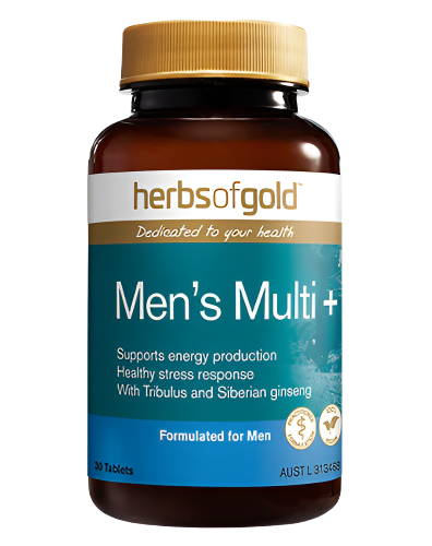 A bottle of Herbs of Gold Men's Multi+ multivitamin tablets.